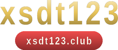 xsdt123 logo